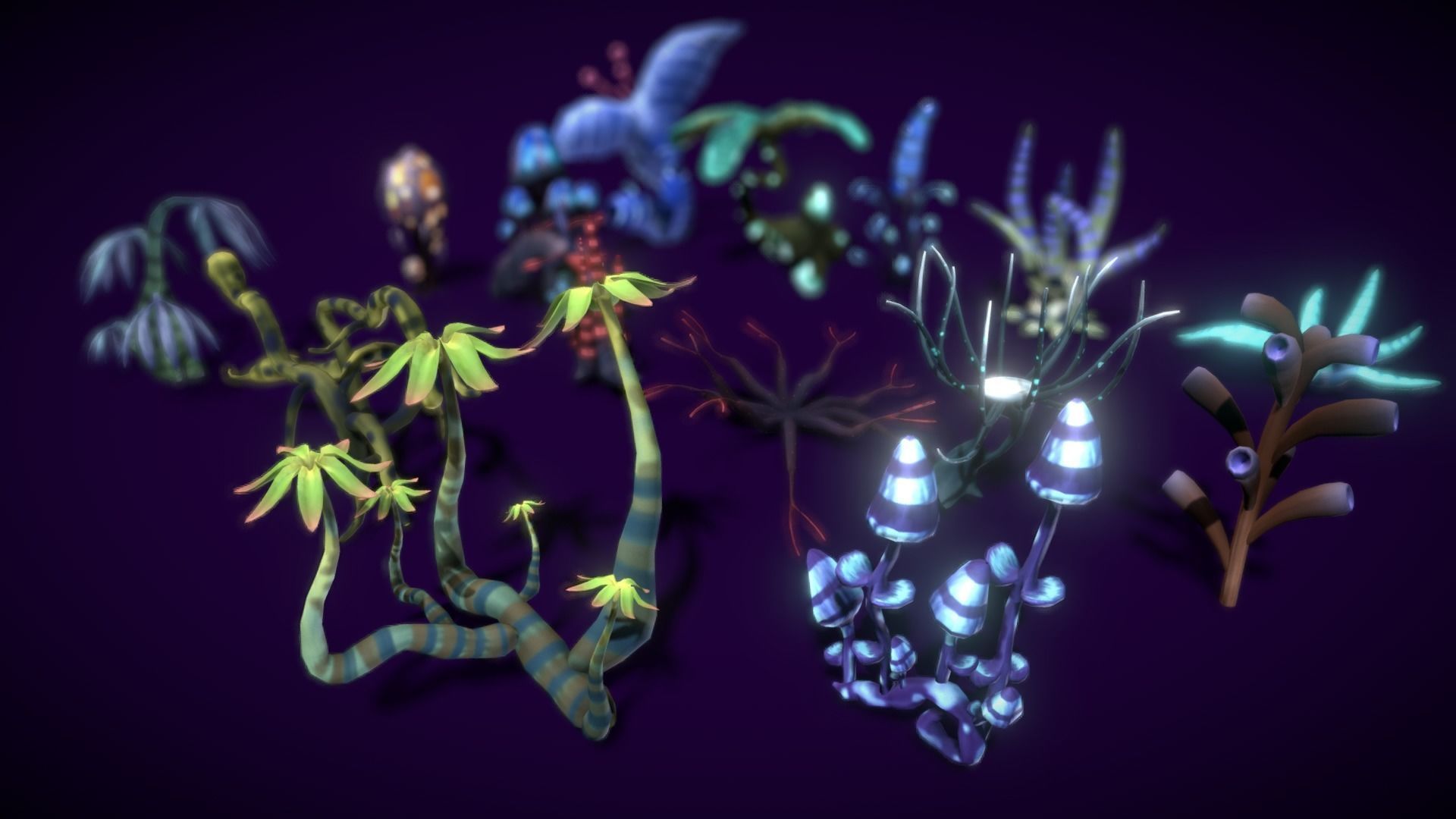 Cartoon Seaweed 11 Low-poly 3D model_7