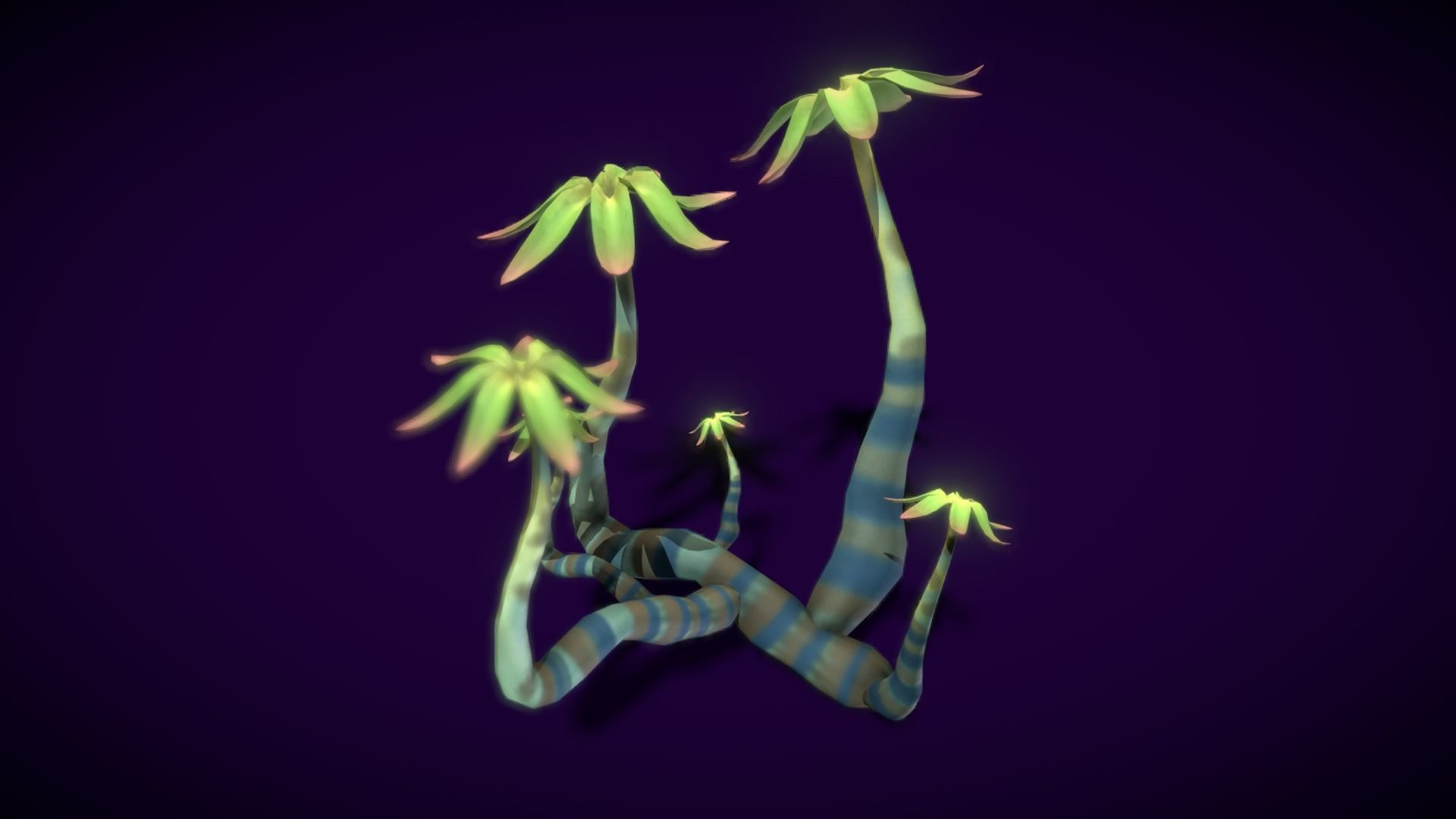 Cartoon Seaweed 11 Low-poly 3D model_21