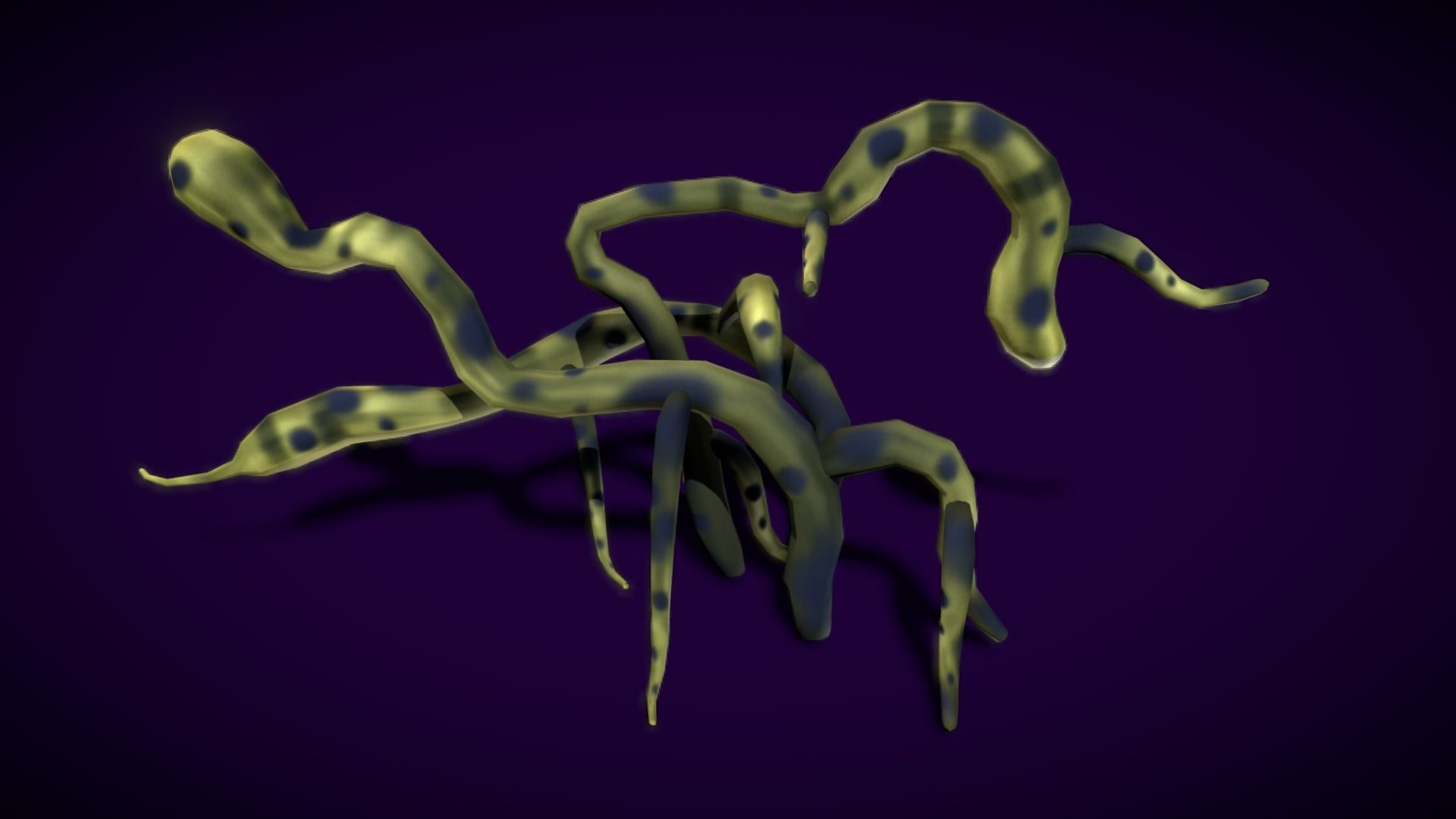 Cartoon Seaweed 11 Low-poly 3D model_20