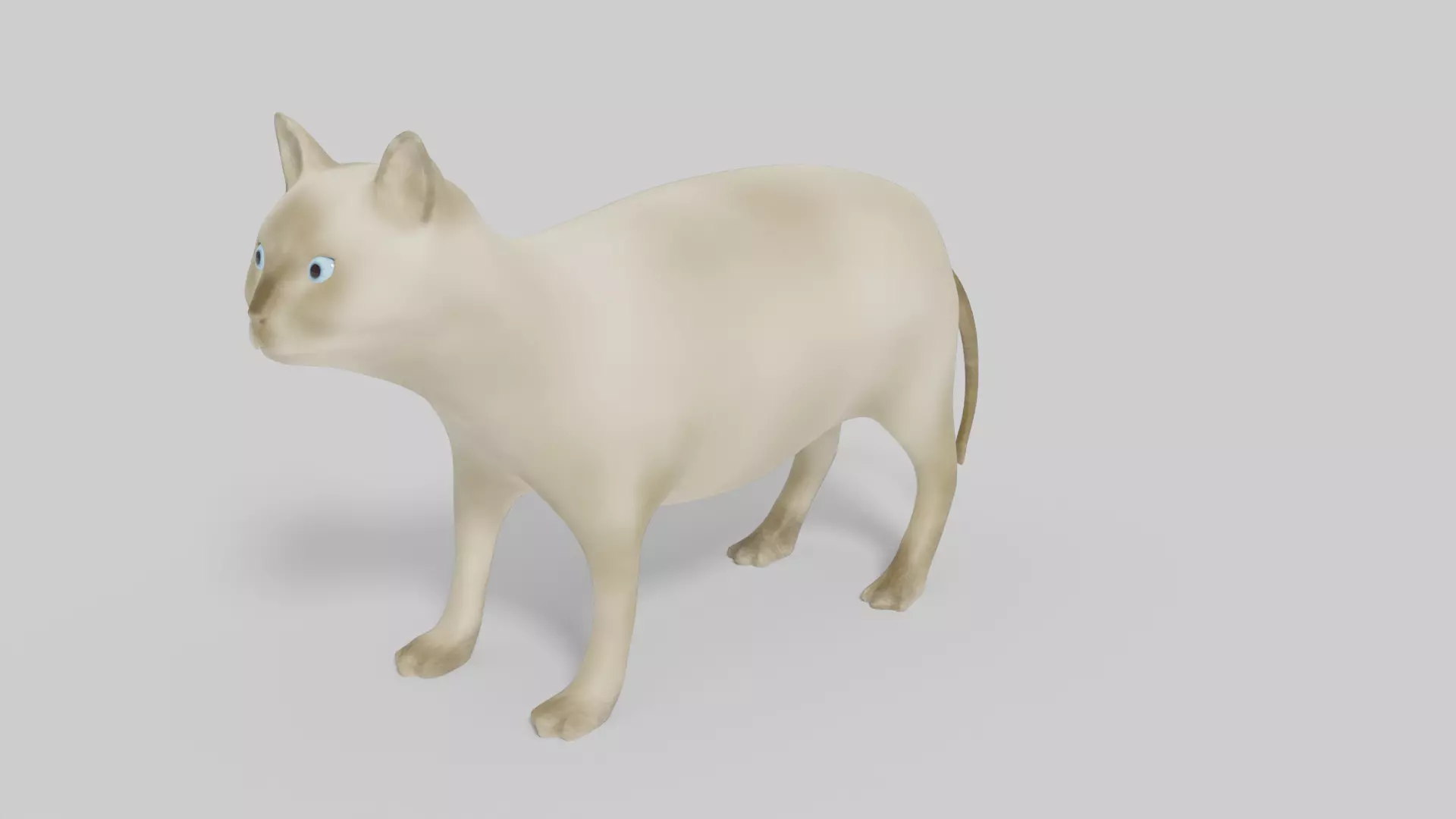 Himalayan Cat 3D Model 3D model