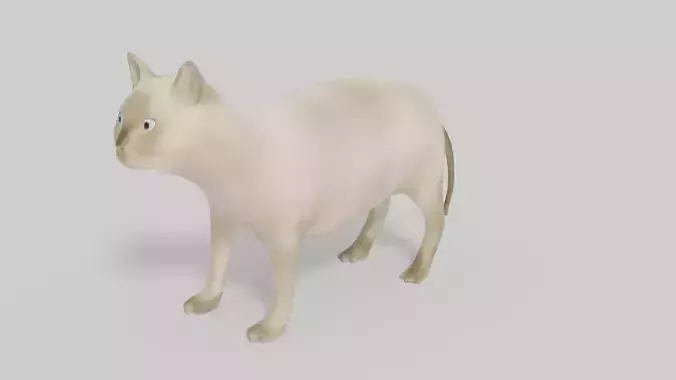 Himalayan Cat 3D Model