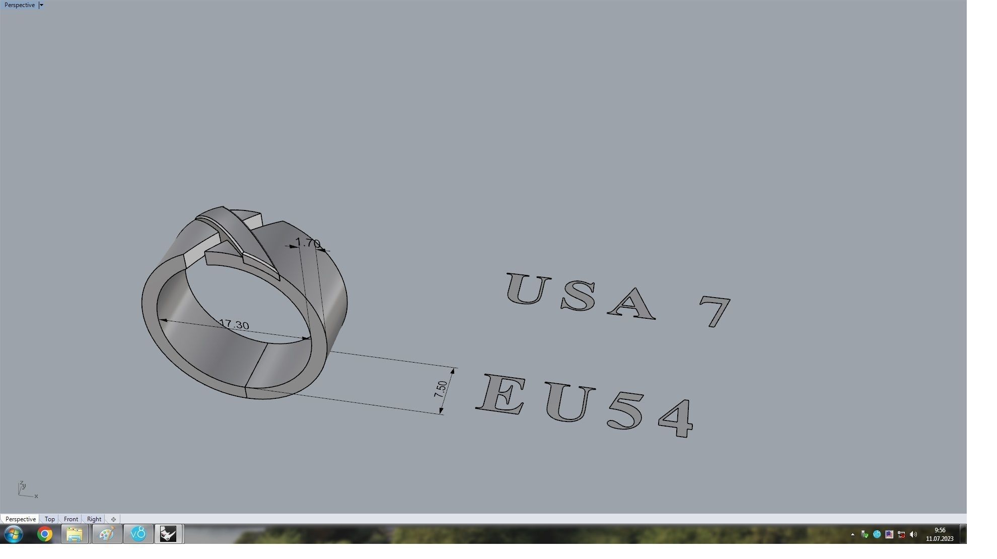  LIENS EVIDENCE RING  3D print model_5