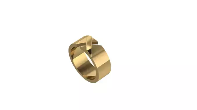  LIENS EVIDENCE RING  3D print model