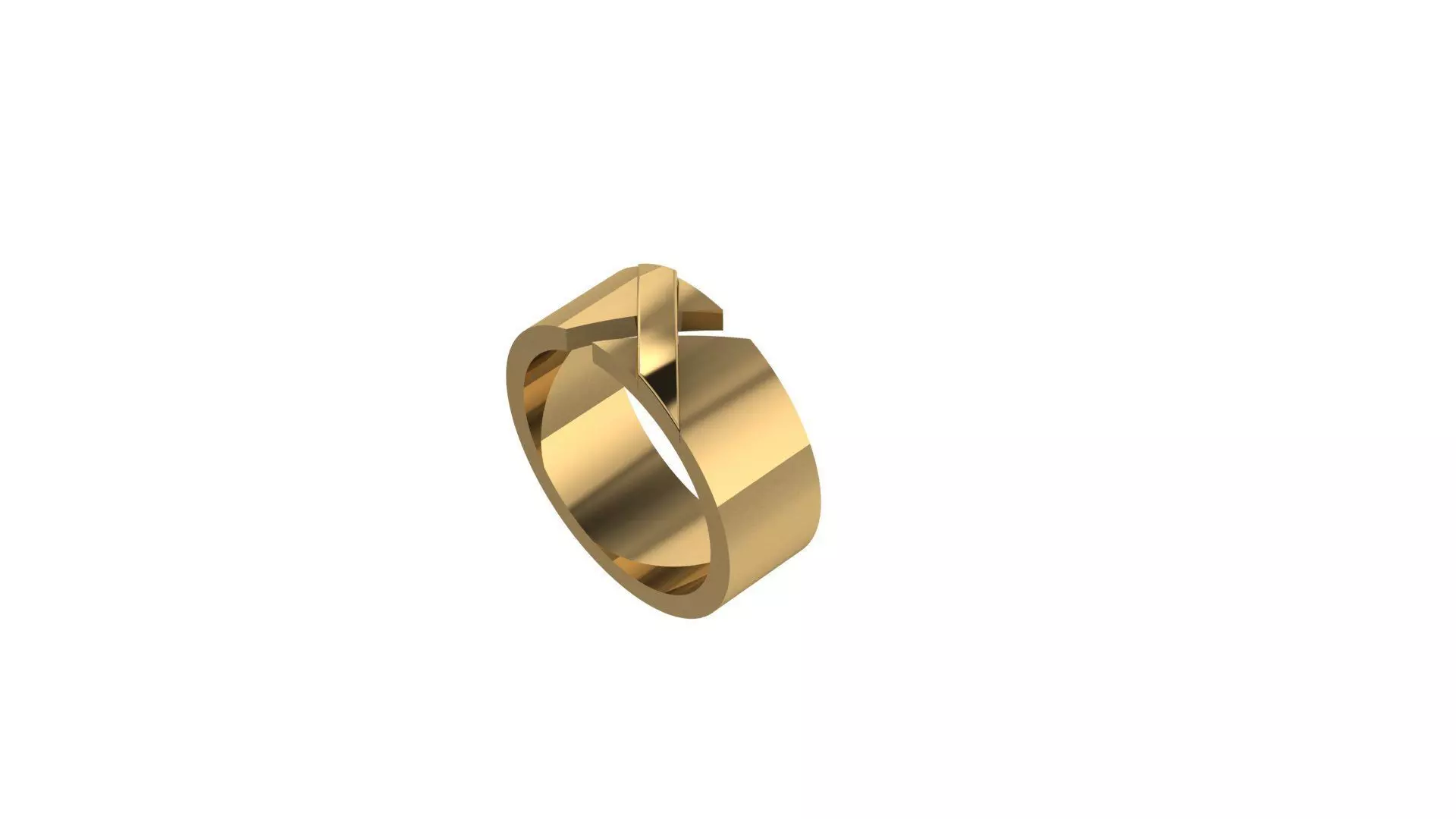  LIENS EVIDENCE RING  3D print model_0