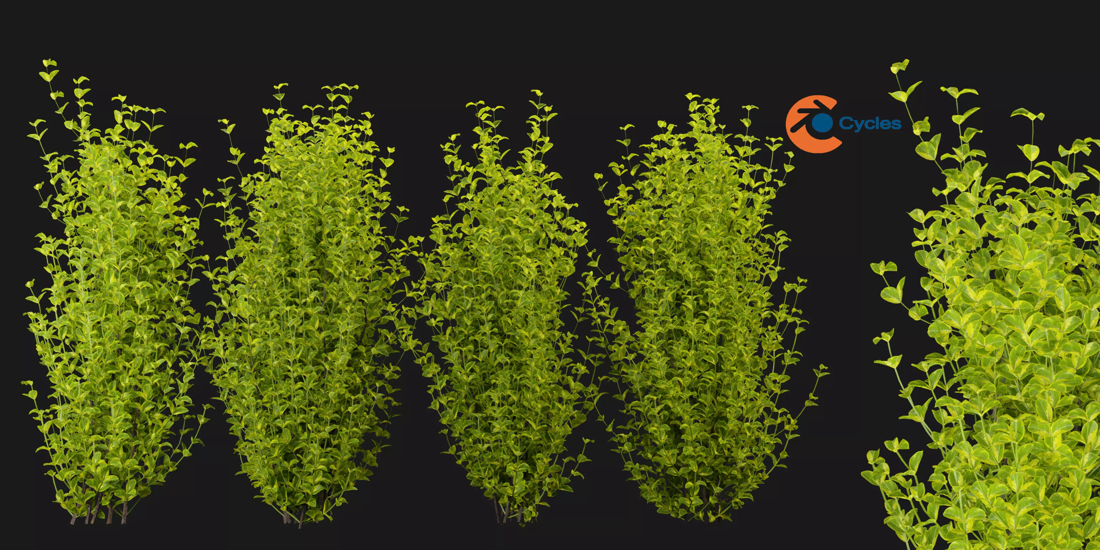 Collection plant vol 369 - blender model  3D model_0