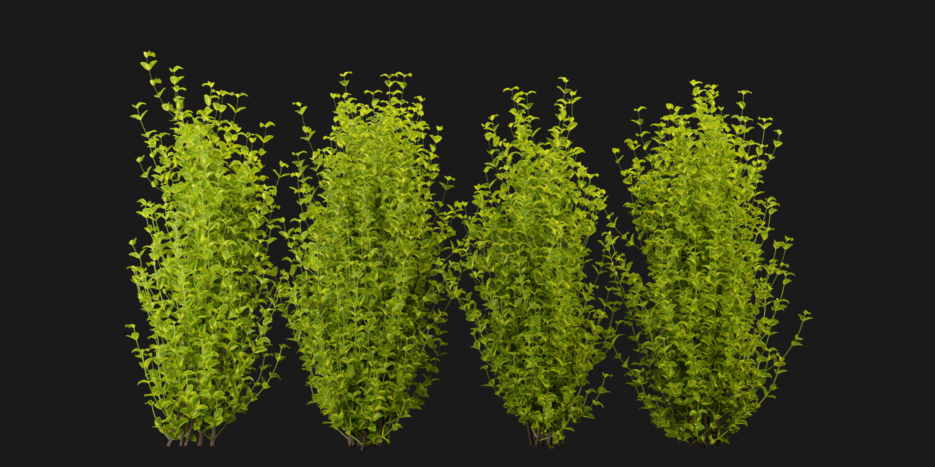 Collection plant vol 369 - blender model  3D model_1