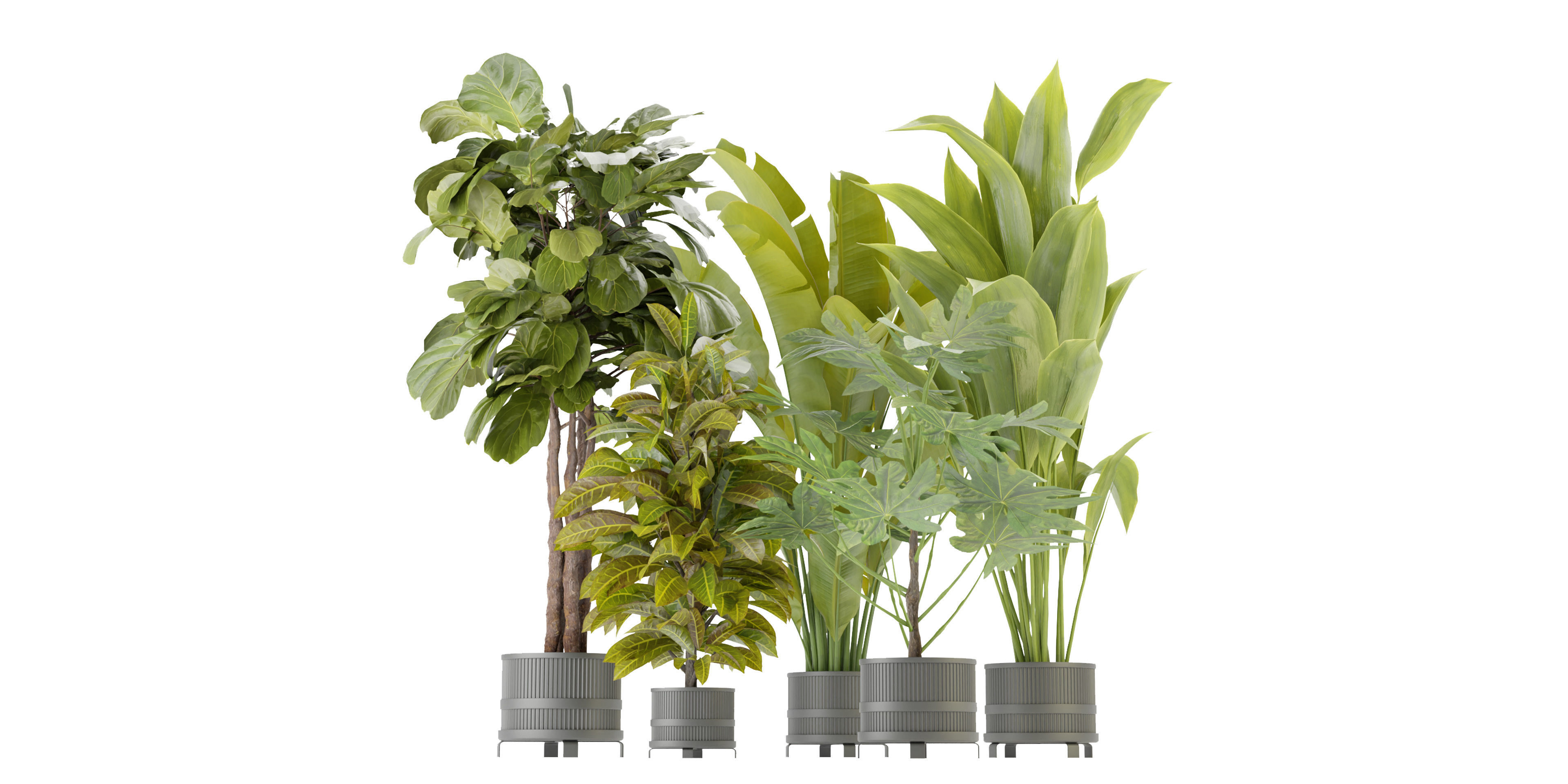 Collection plant vol 373 - blender model  3D model_1