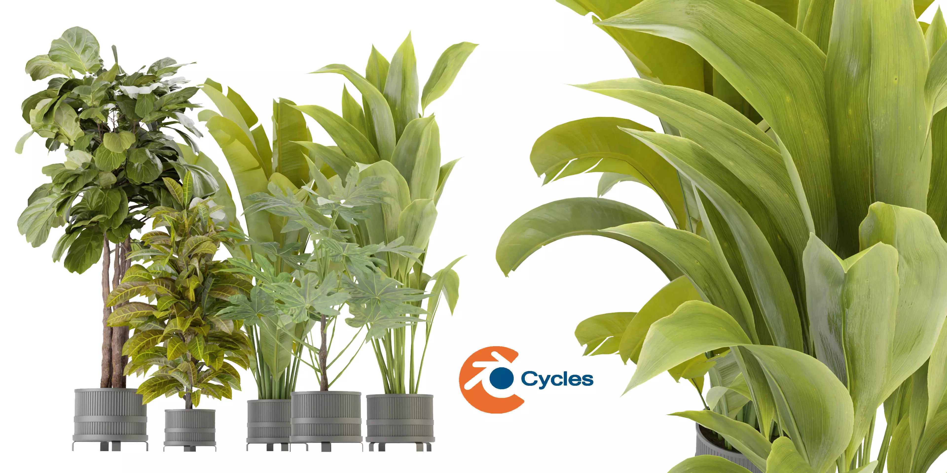 Collection plant vol 373 - blender model  3D model_0