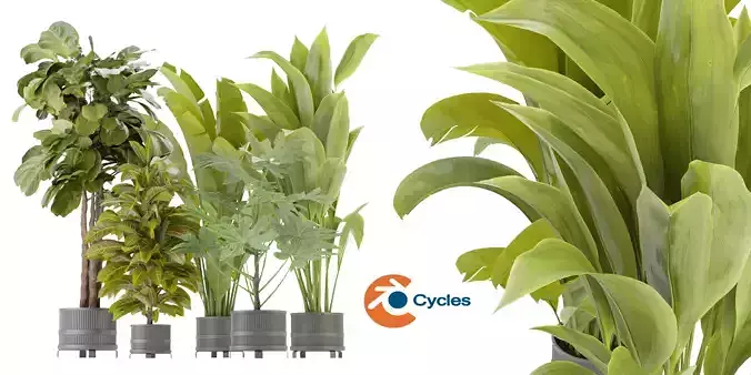 Collection plant vol 373 - blender model 