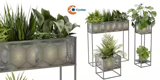 Collection plant vol 375 - blender model  3D model