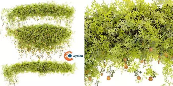 Collection plant vol 376- blender model  3D model
