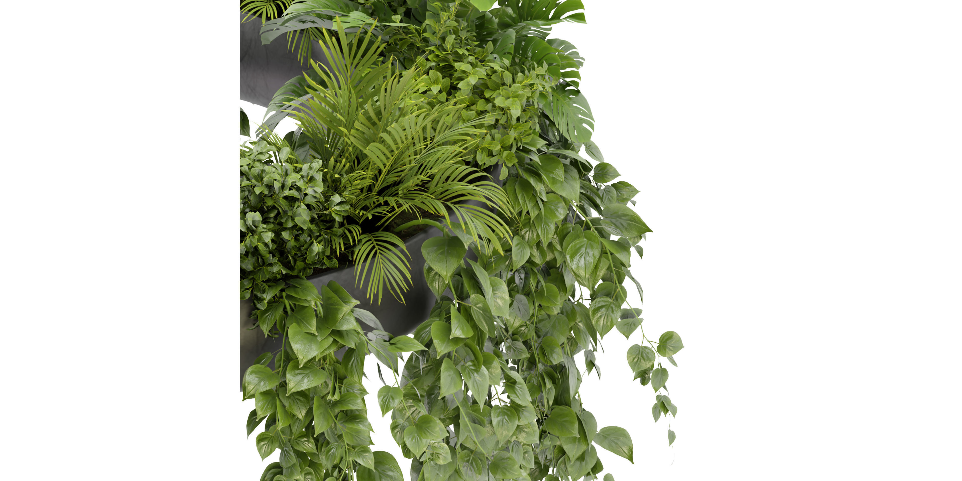 Collection plant vol 380 - blender model  3D model_3