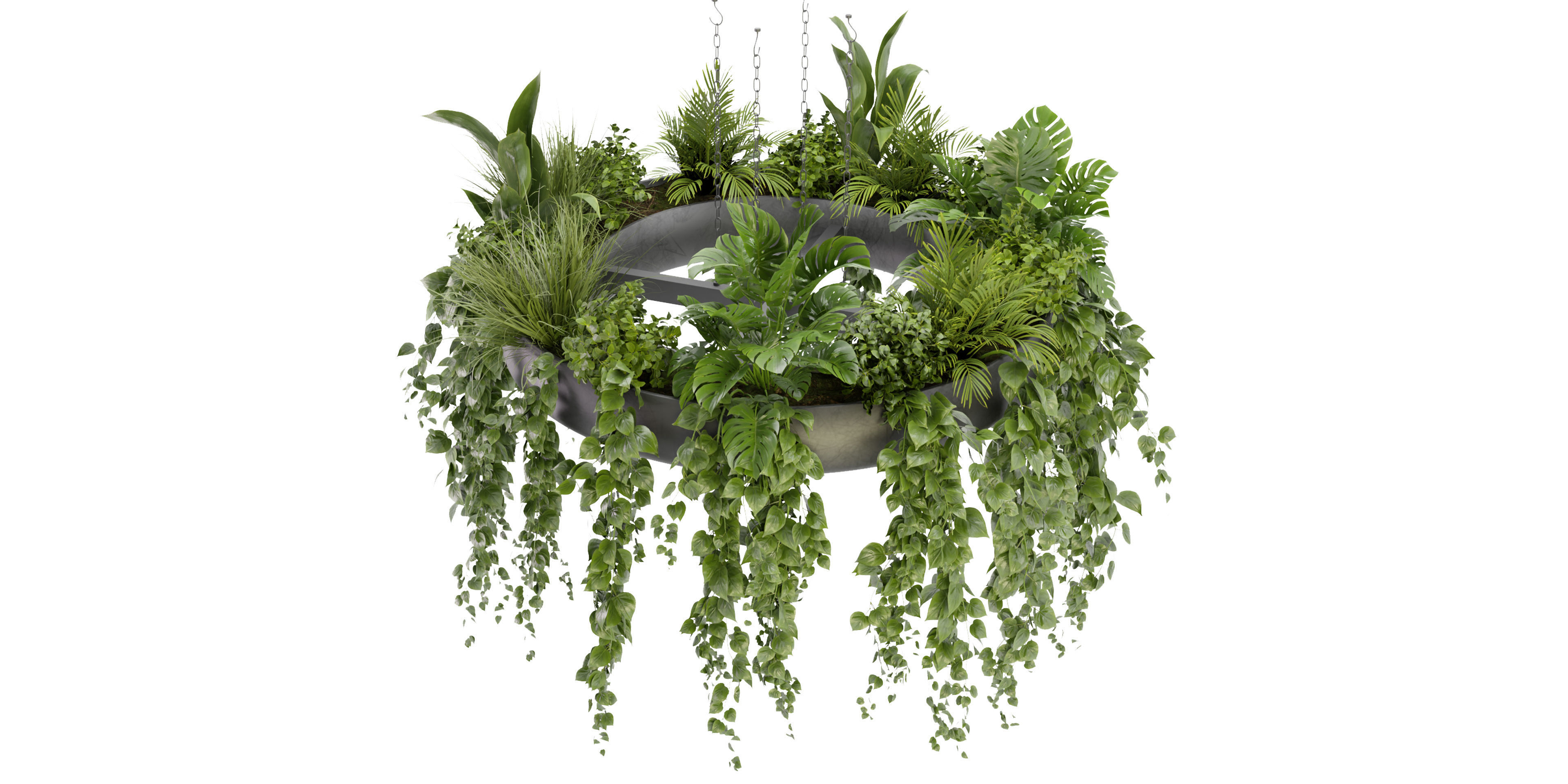 Collection plant vol 380 - blender model  3D model_1