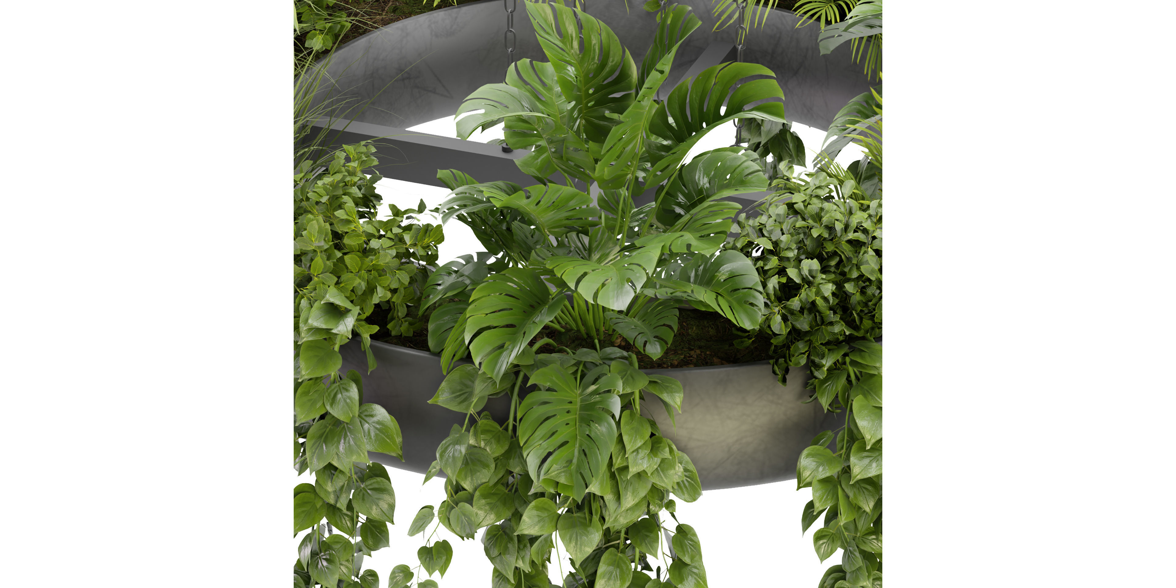 Collection plant vol 380 - blender model  3D model_2