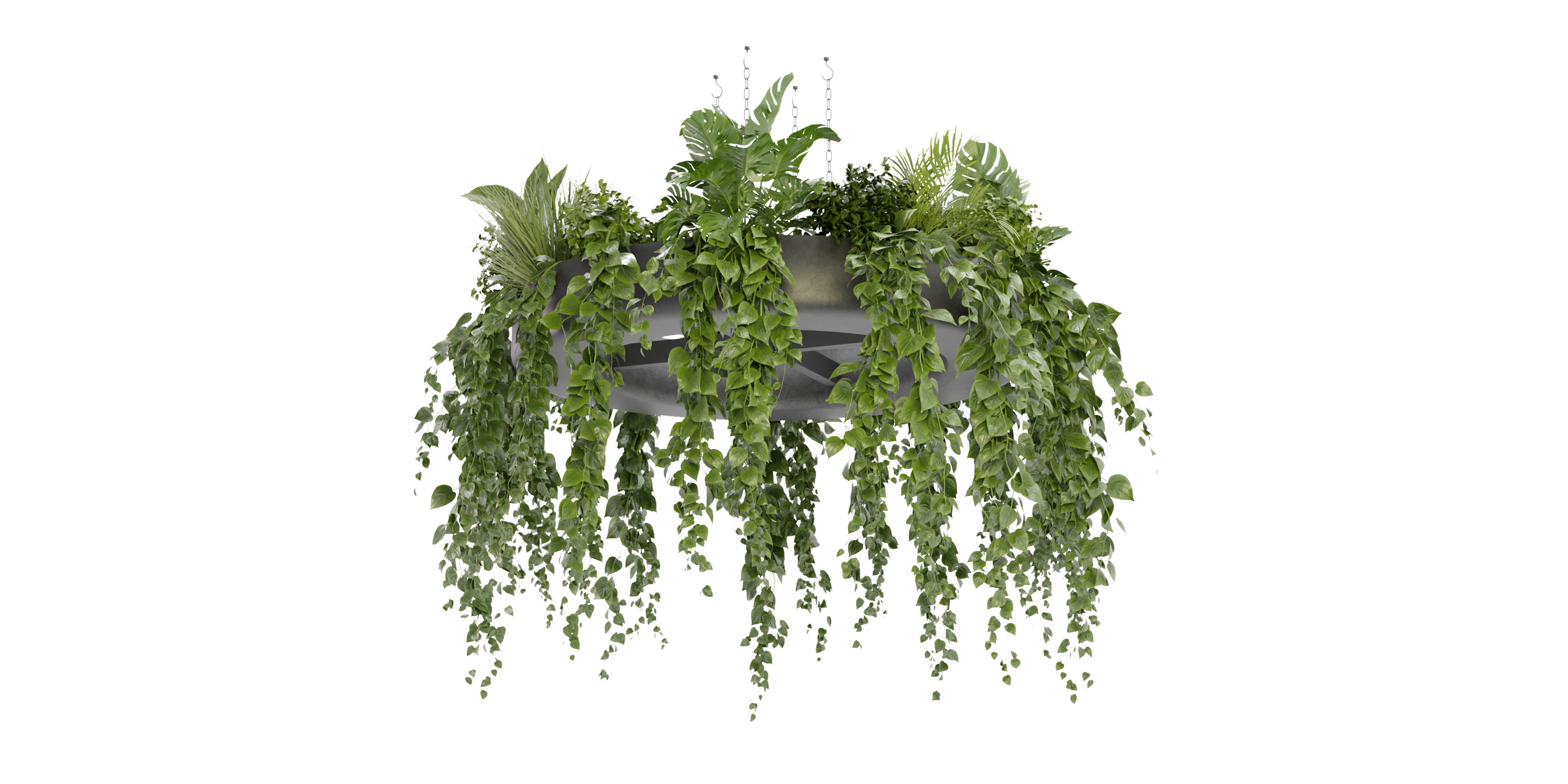 Collection plant vol 380 - blender model  3D model_4