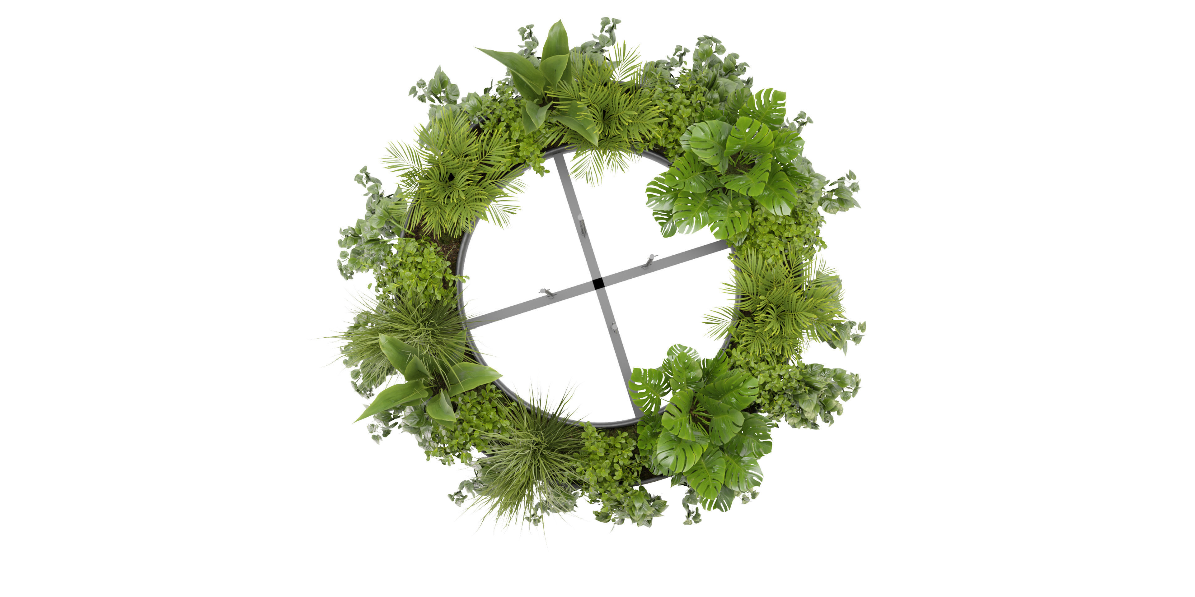 Collection plant vol 380 - blender model  3D model_5