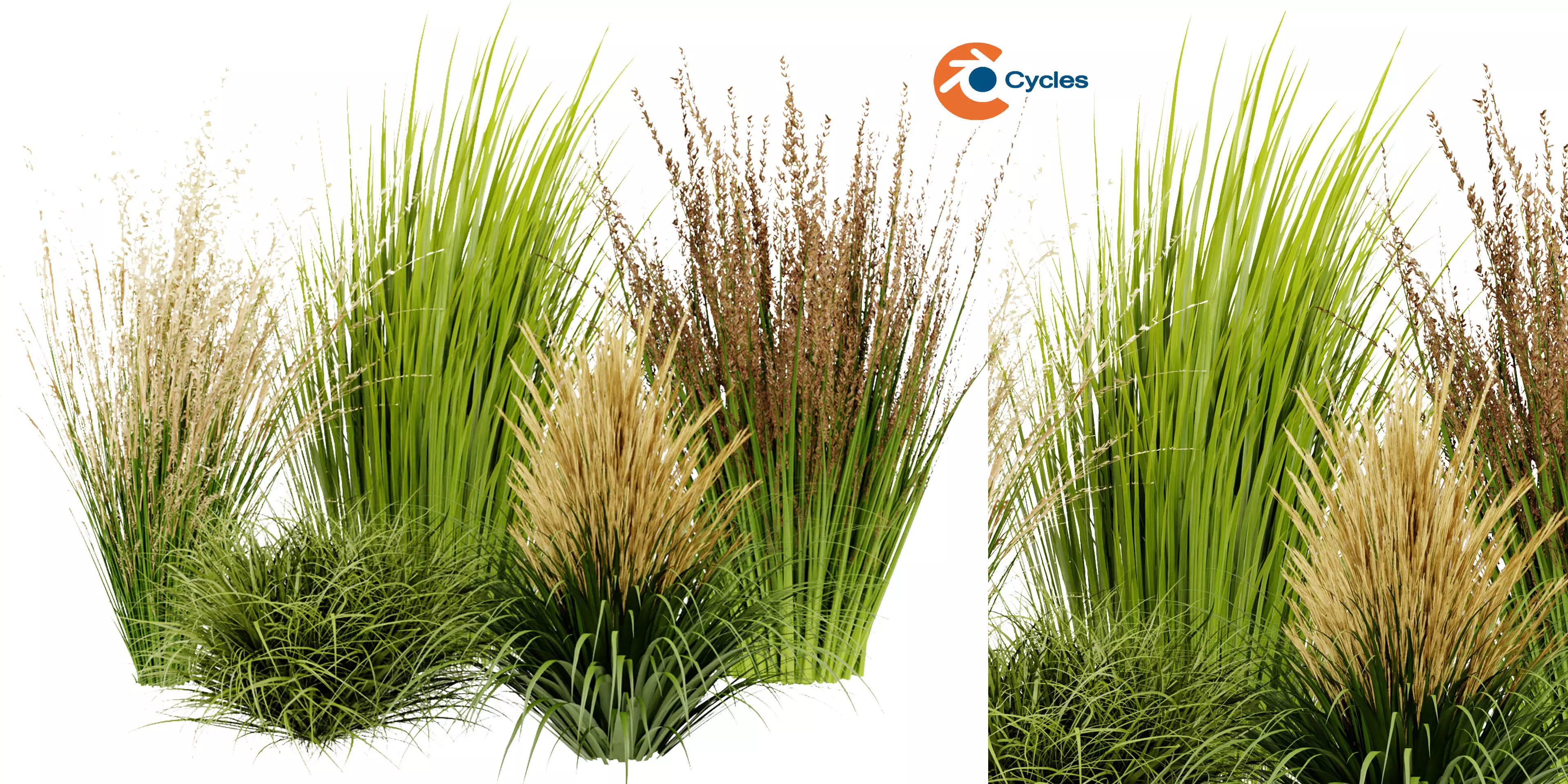 Collection plant vol 383 - blender model 3D model