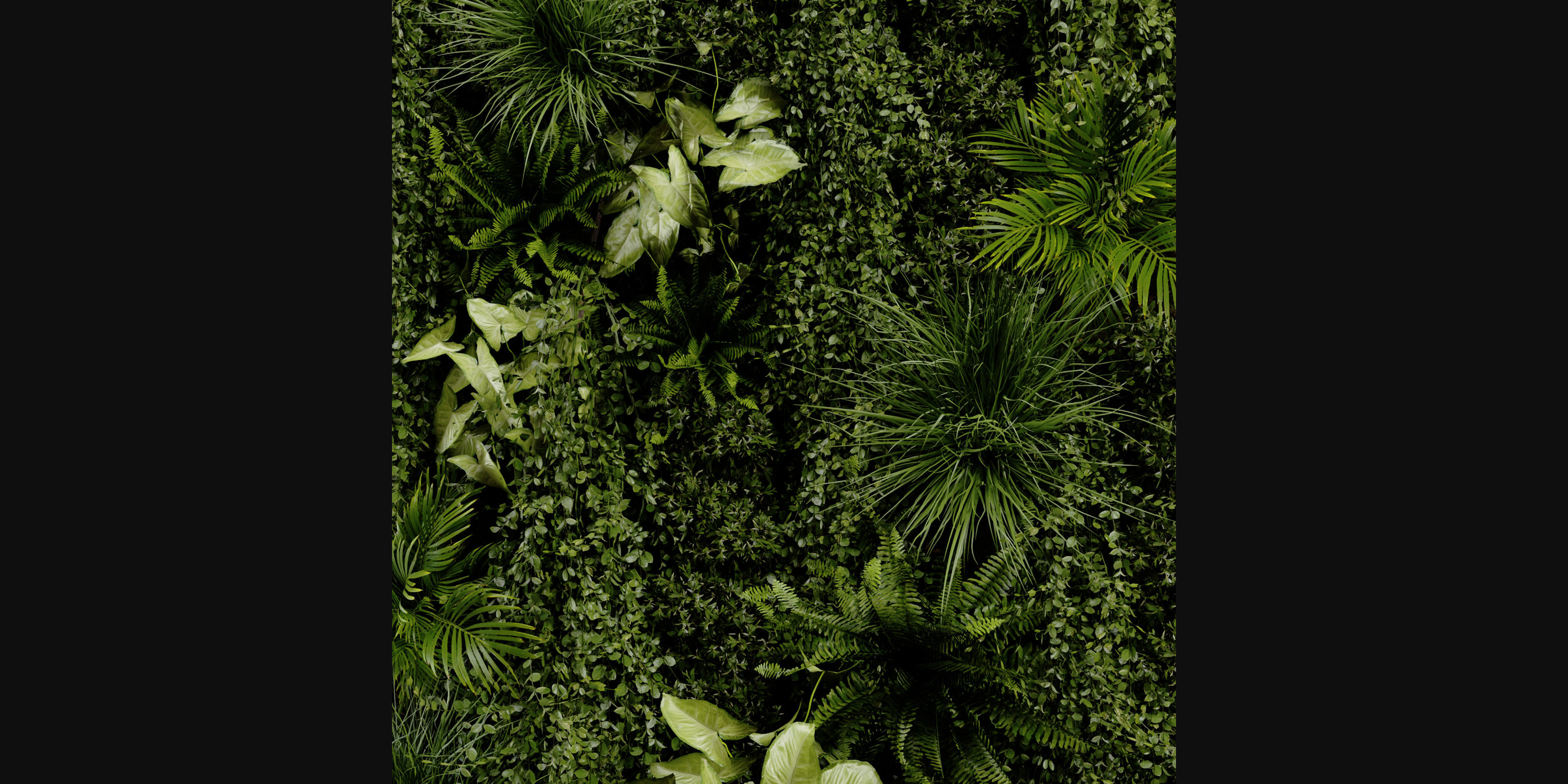 Collection plant vol 386 - blender model  3D model_4