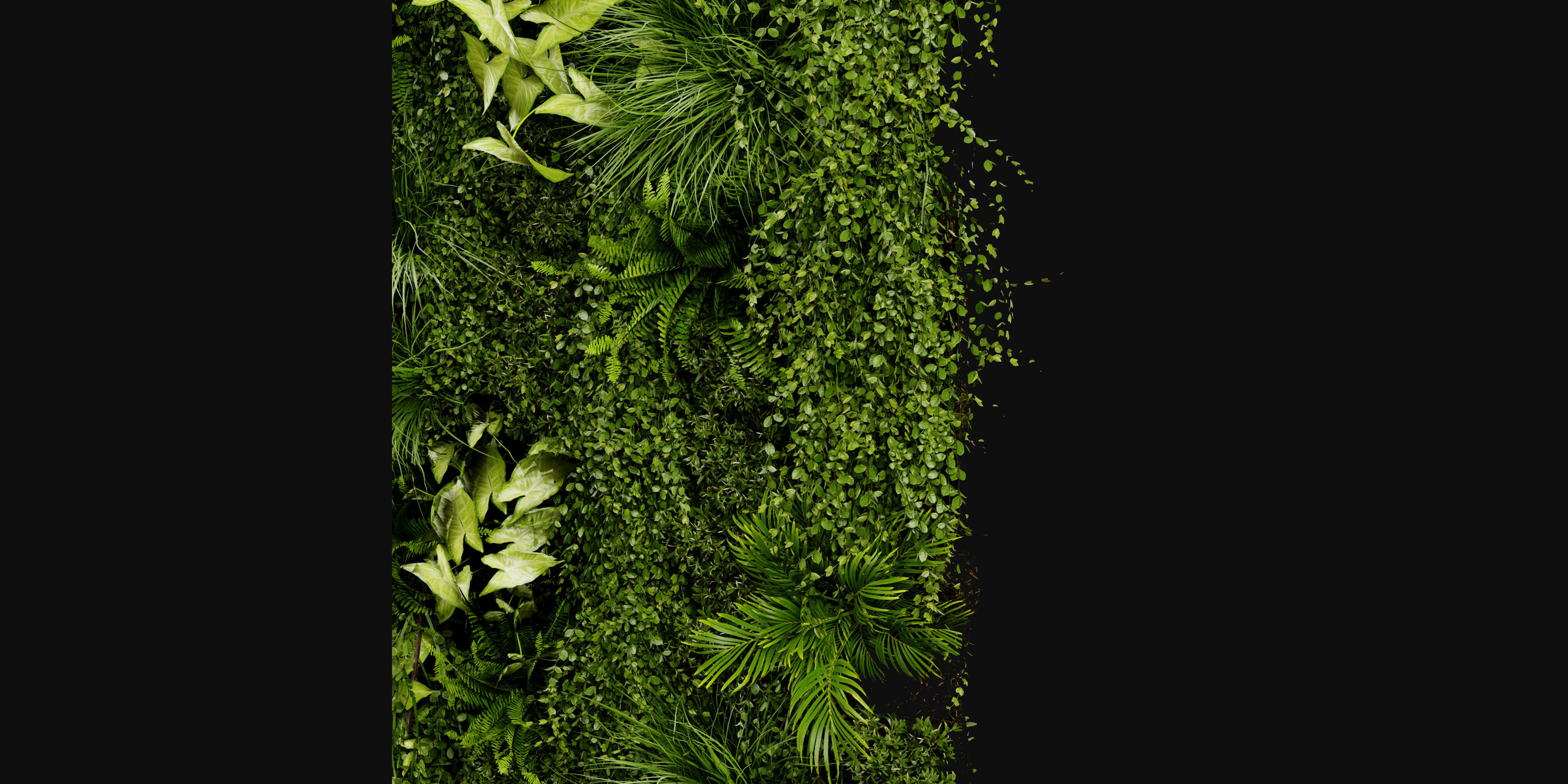 Collection plant vol 386 - blender model  3D model_2