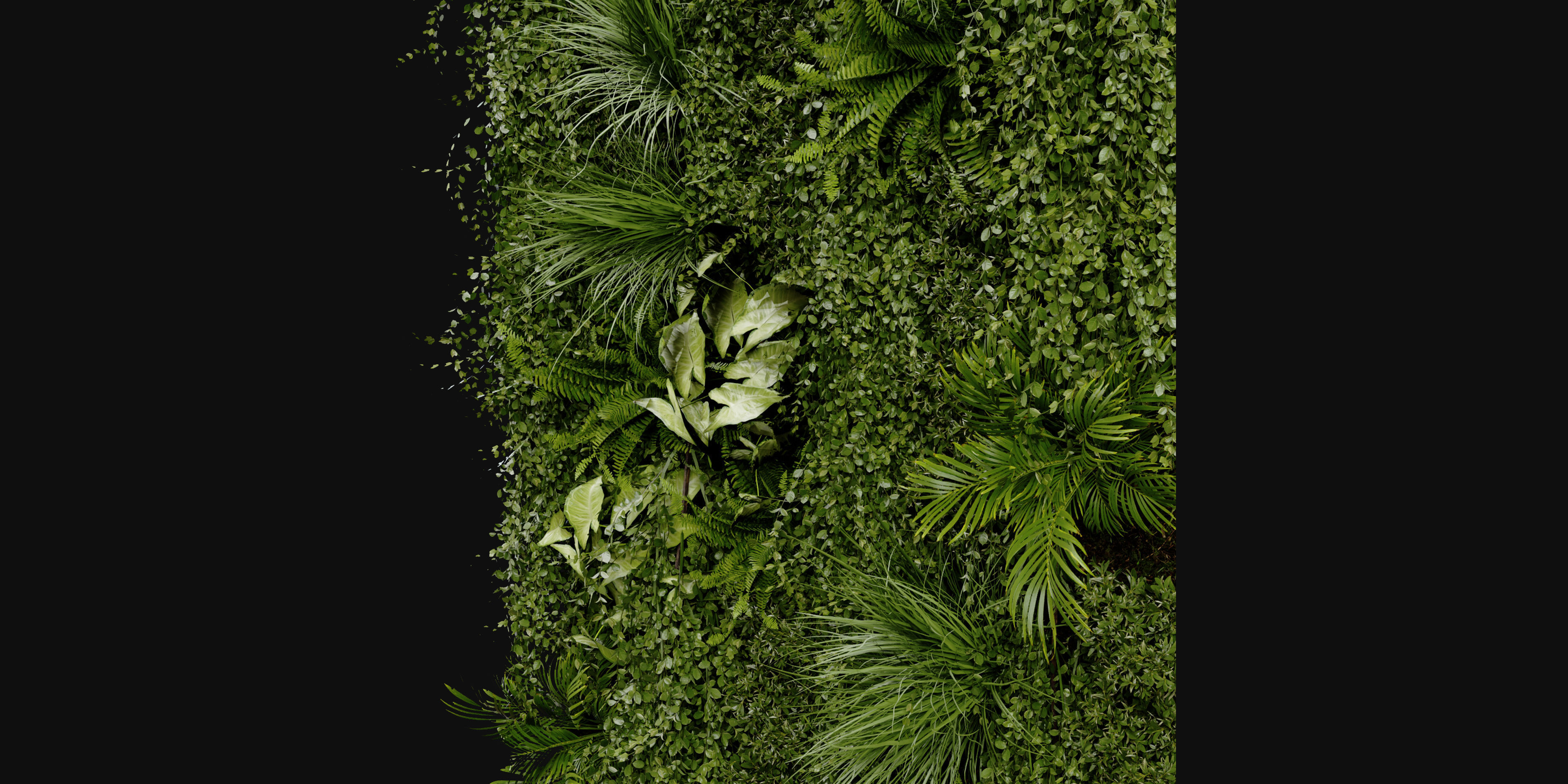 Collection plant vol 386 - blender model  3D model_5