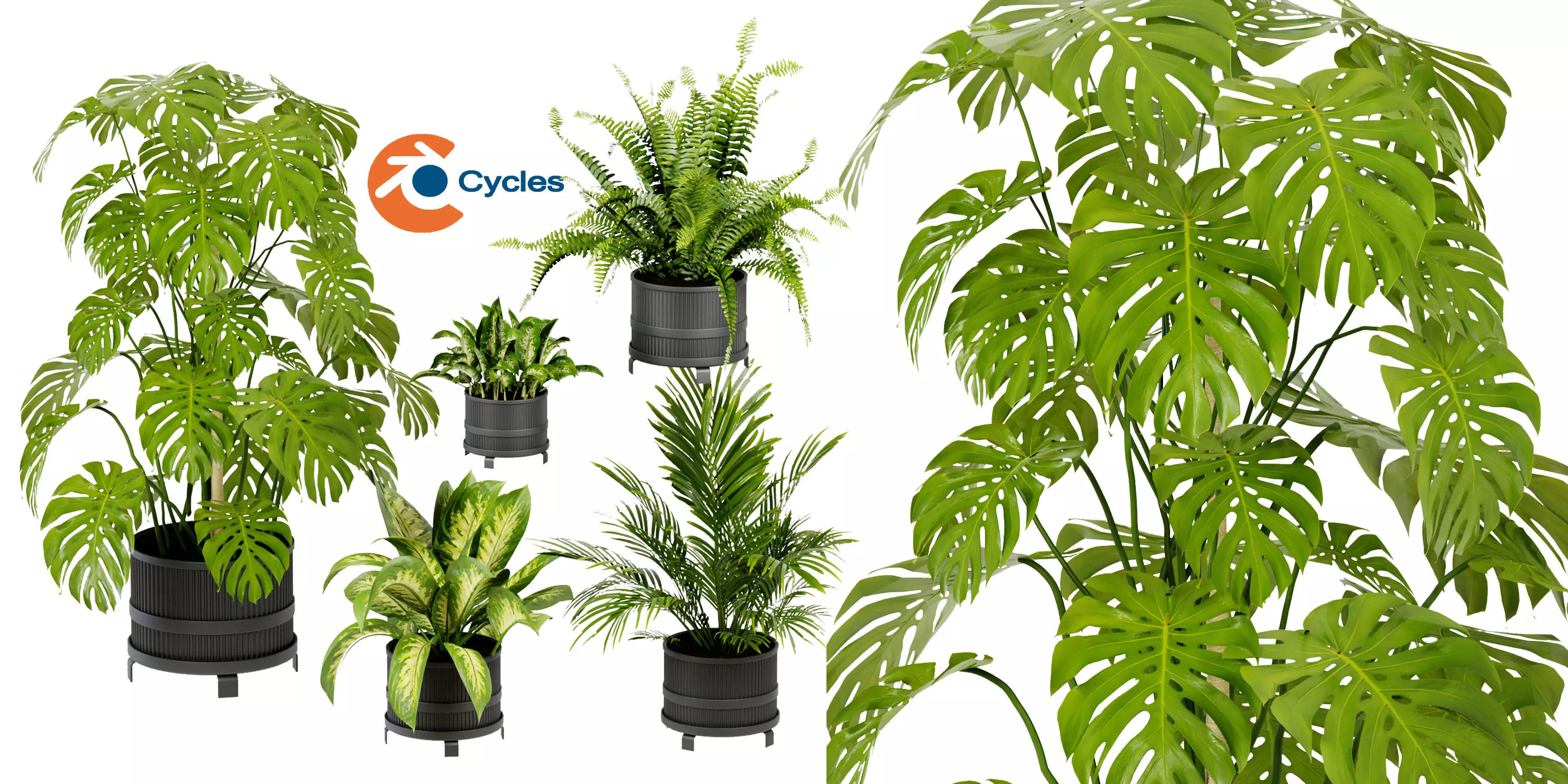 Collection plant vol 384 - blender model  3D model_0