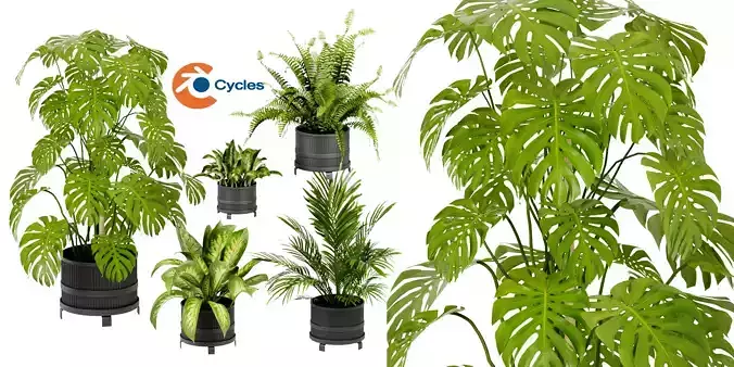 Collection plant vol 384 - blender model 