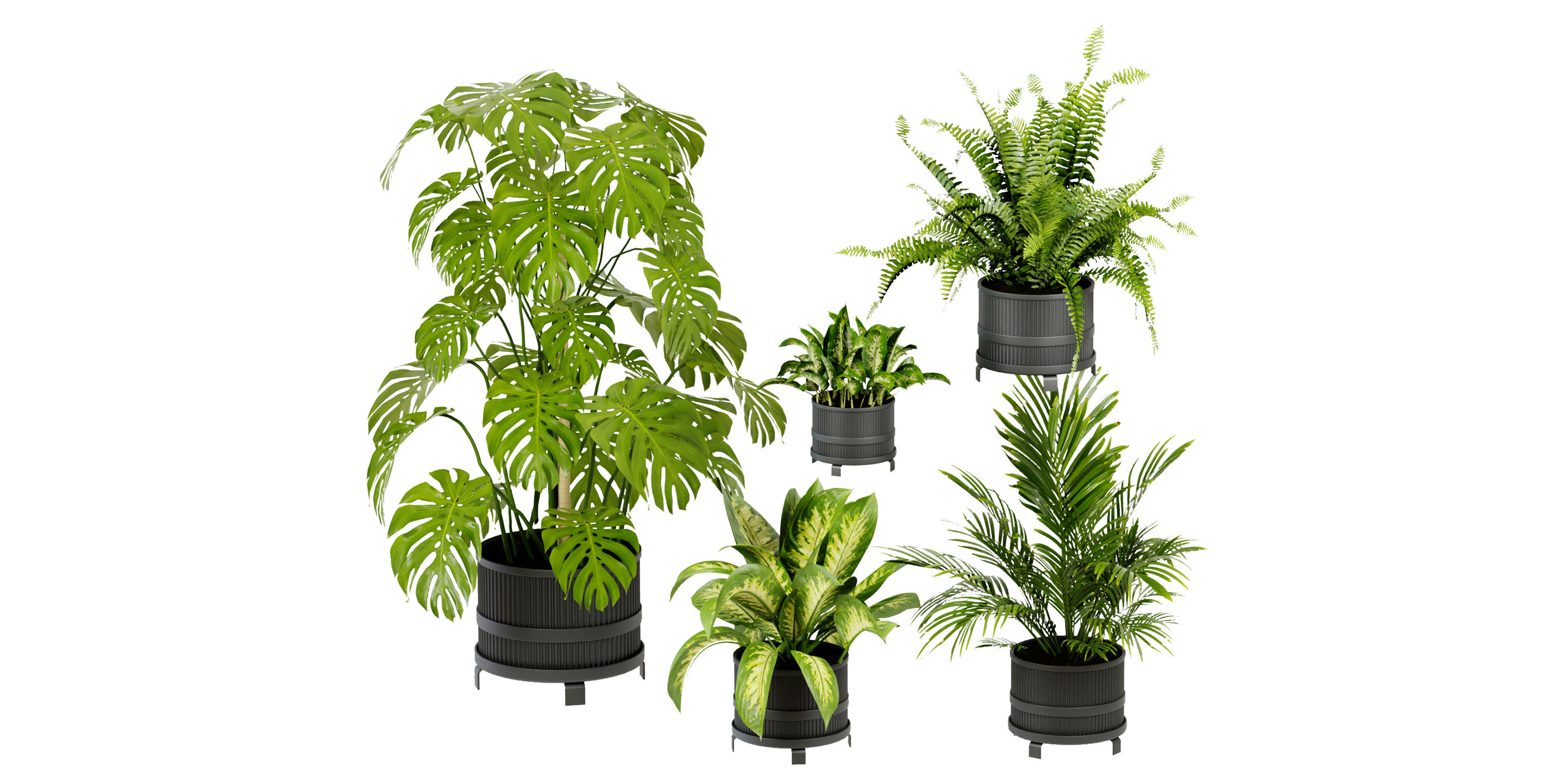 Collection plant vol 384 - blender model  3D model_1