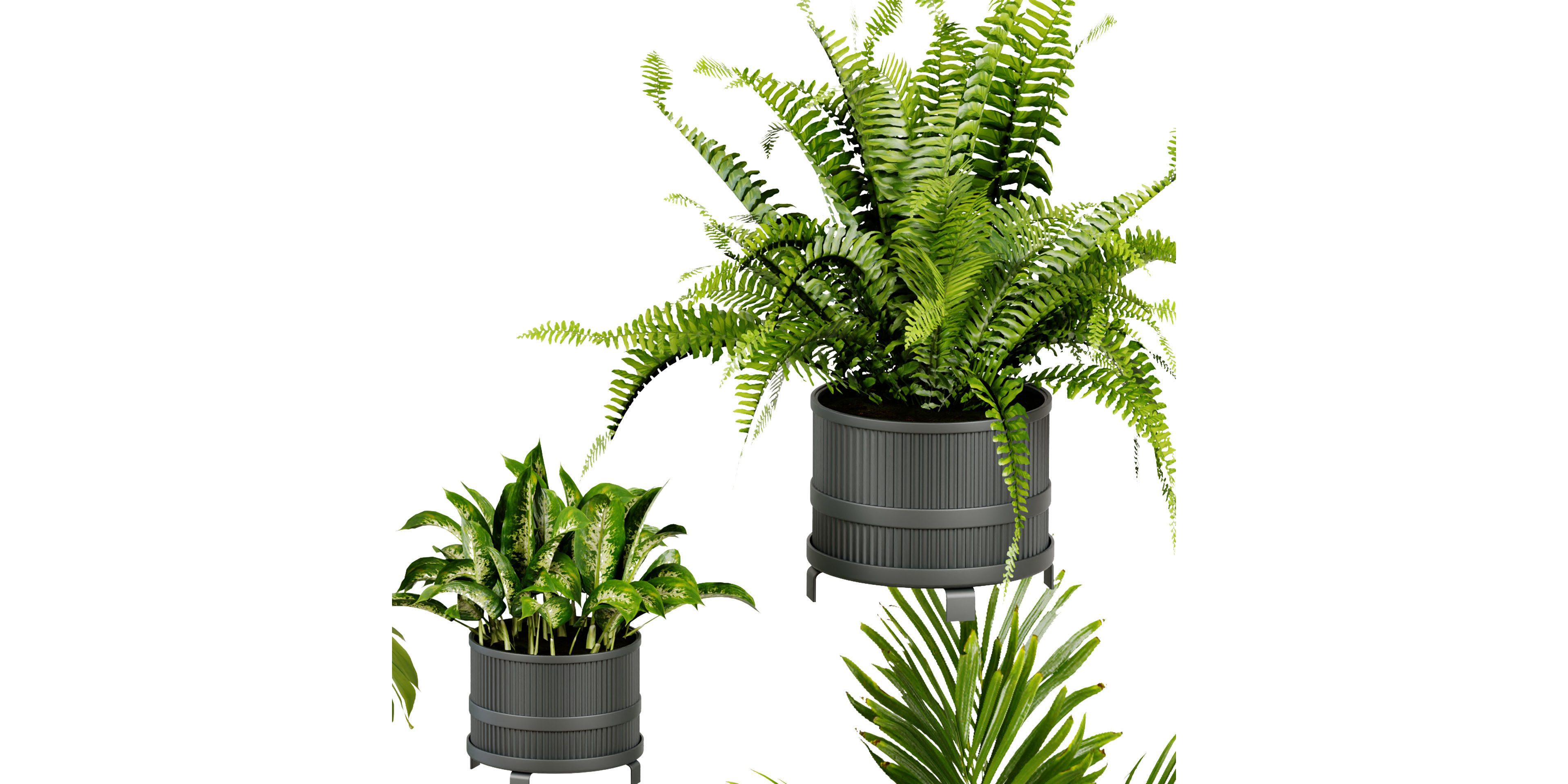 Collection plant vol 384 - blender model  3D model_3