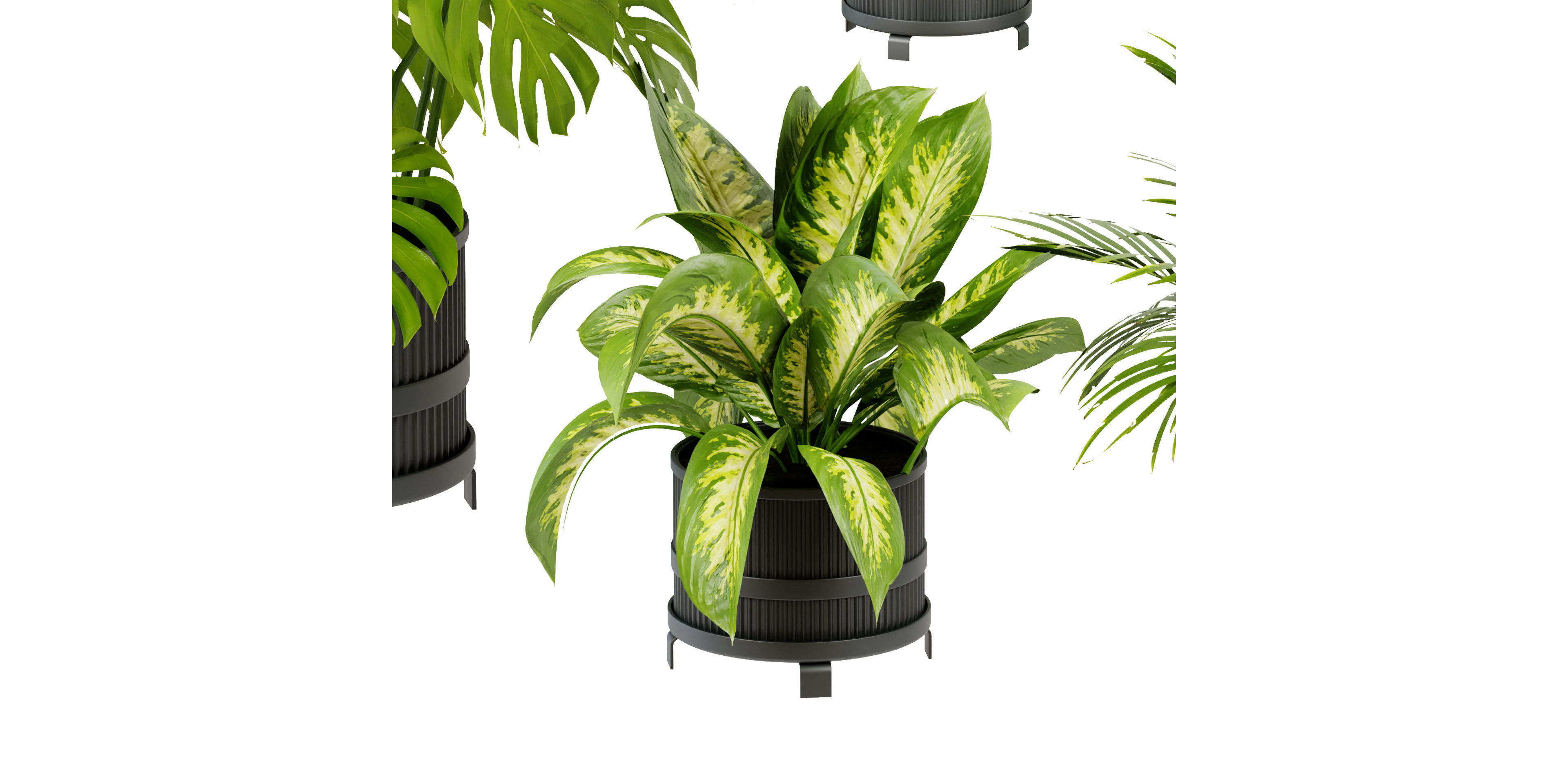 Collection plant vol 384 - blender model  3D model_4