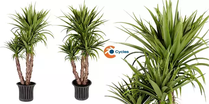 Collection plant vol 388 - blender model 