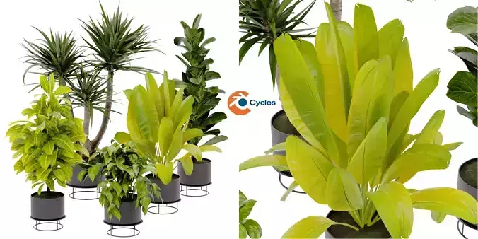 Collection plant vol 389 - blender model  3D model