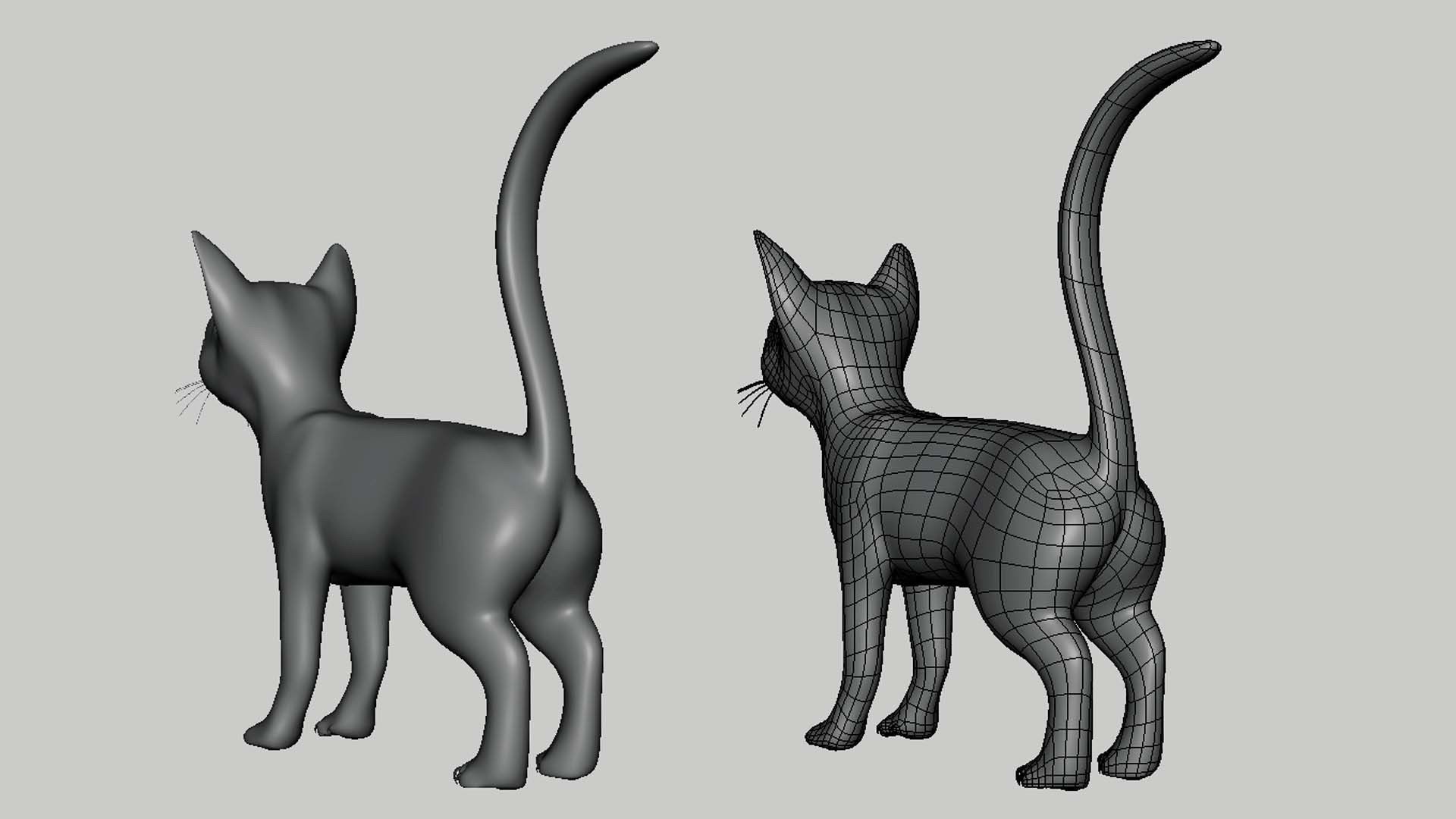 Cat Model Low-poly 3D model_2