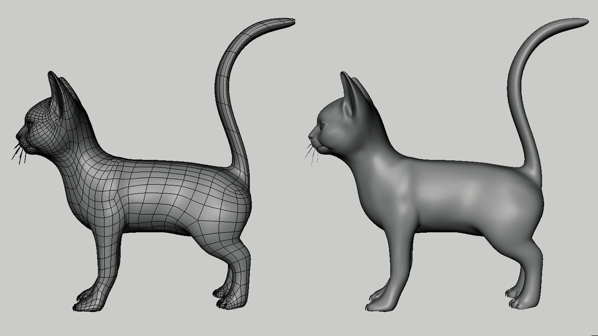 Cat Model Low-poly 3D model_1