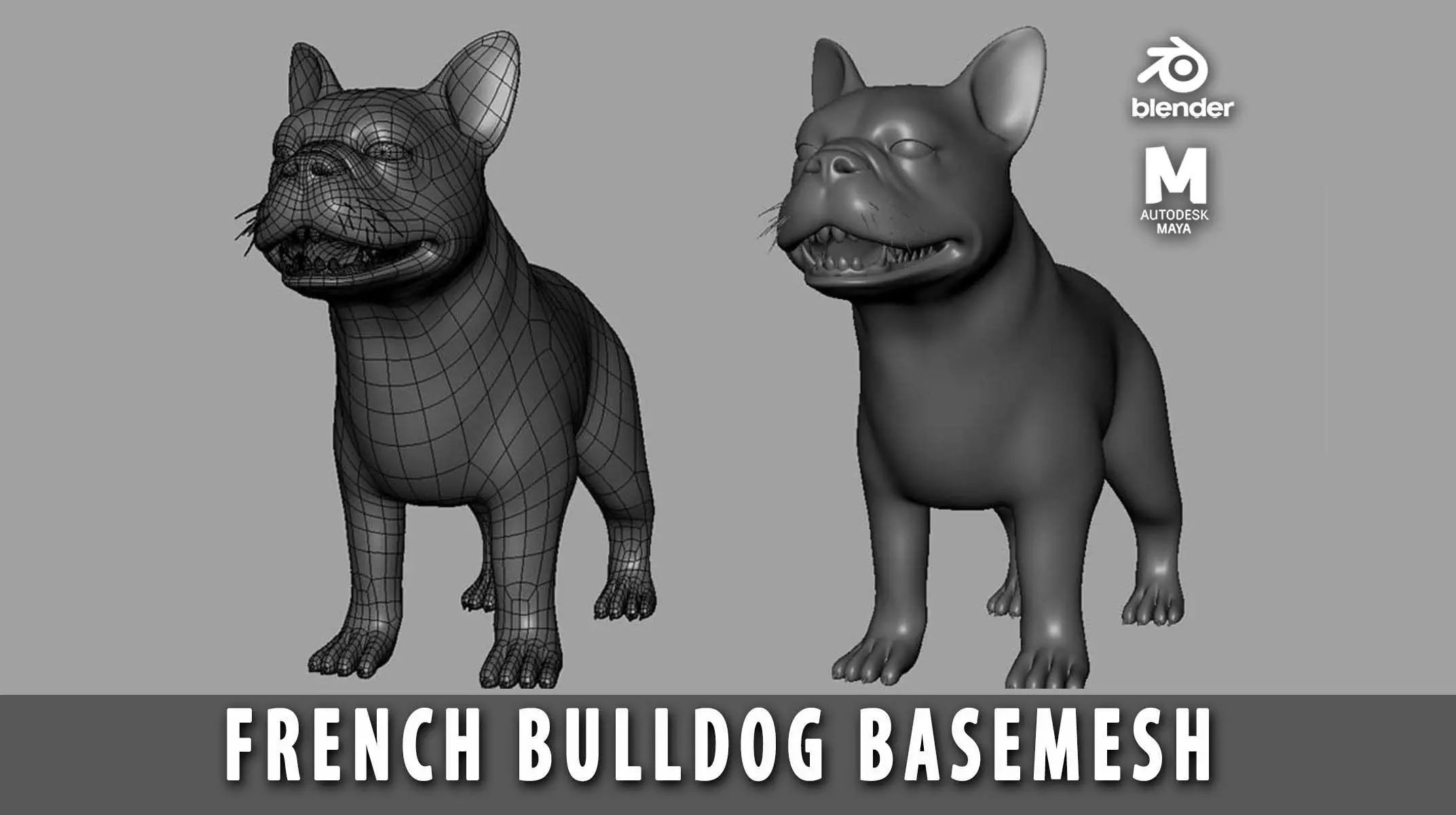 French Bulldog BaseMesh Low-poly 3D model_0