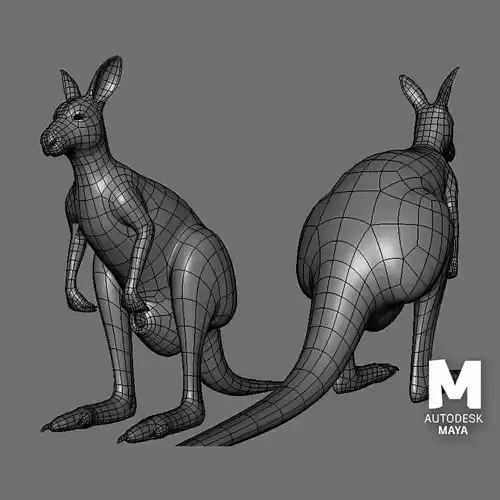 Kangaroo Female BaseMesh