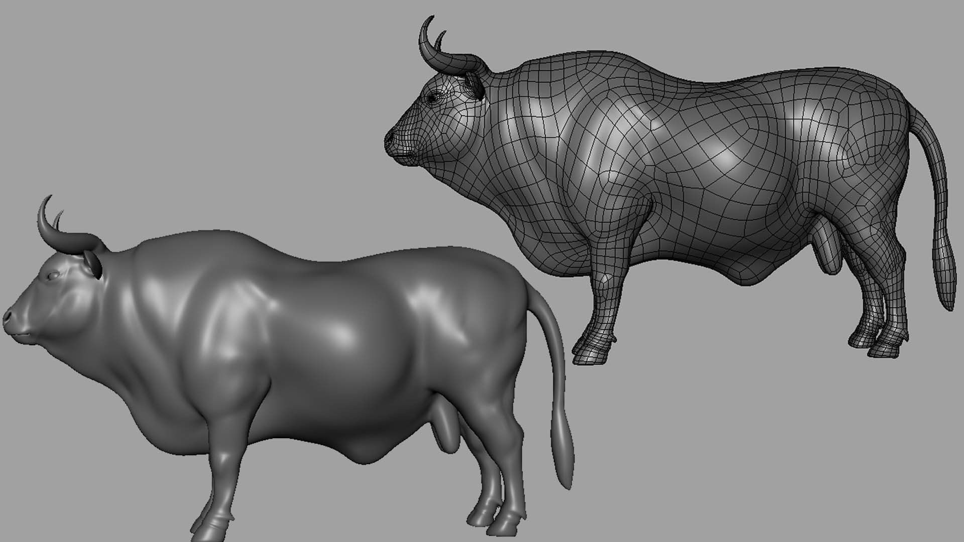 Bull BaseMesh Low-poly 3D model_3