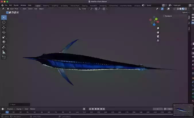 Marlin Fish