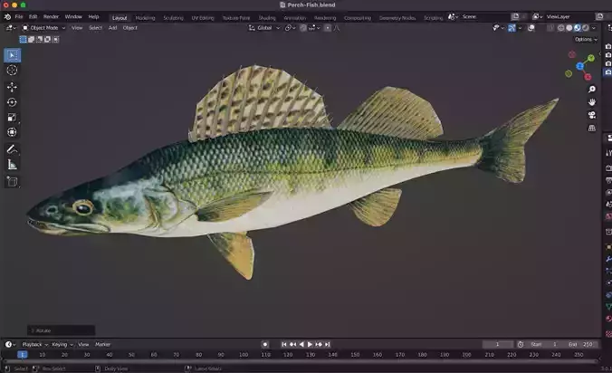 Perch Fish Low-poly 3D model