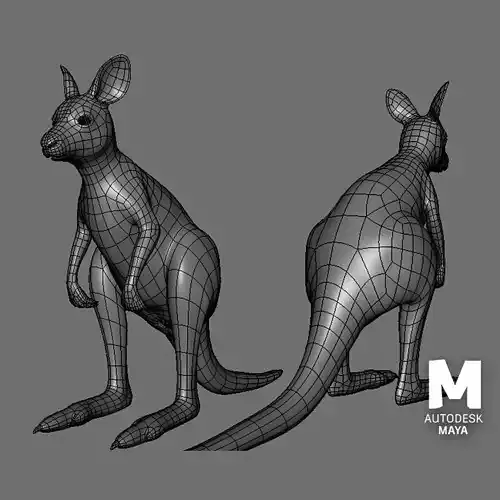 Kangaroo Baby BaseMesh