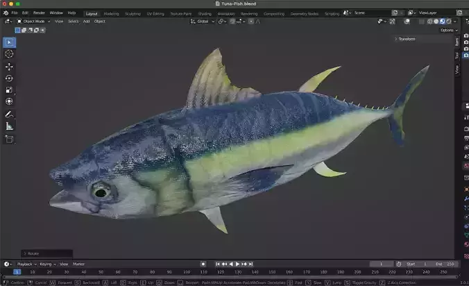 Tuna Fish
