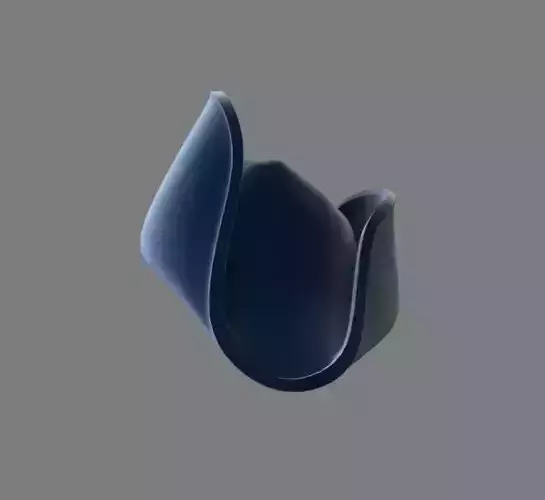 Pirate Hat