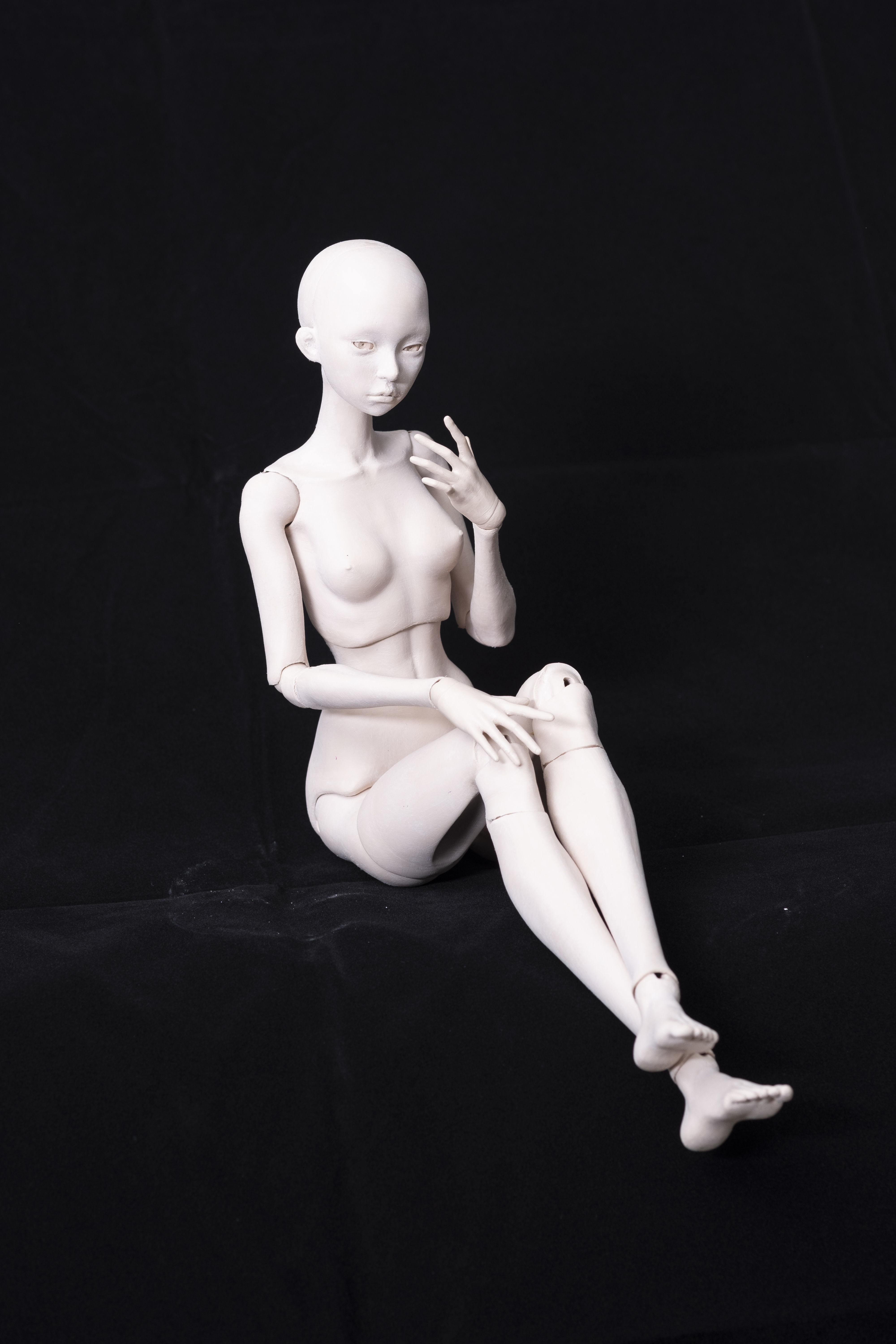 Arise BJD Ball Jointed Doll 3D Printed Model Doll 3D print model_11