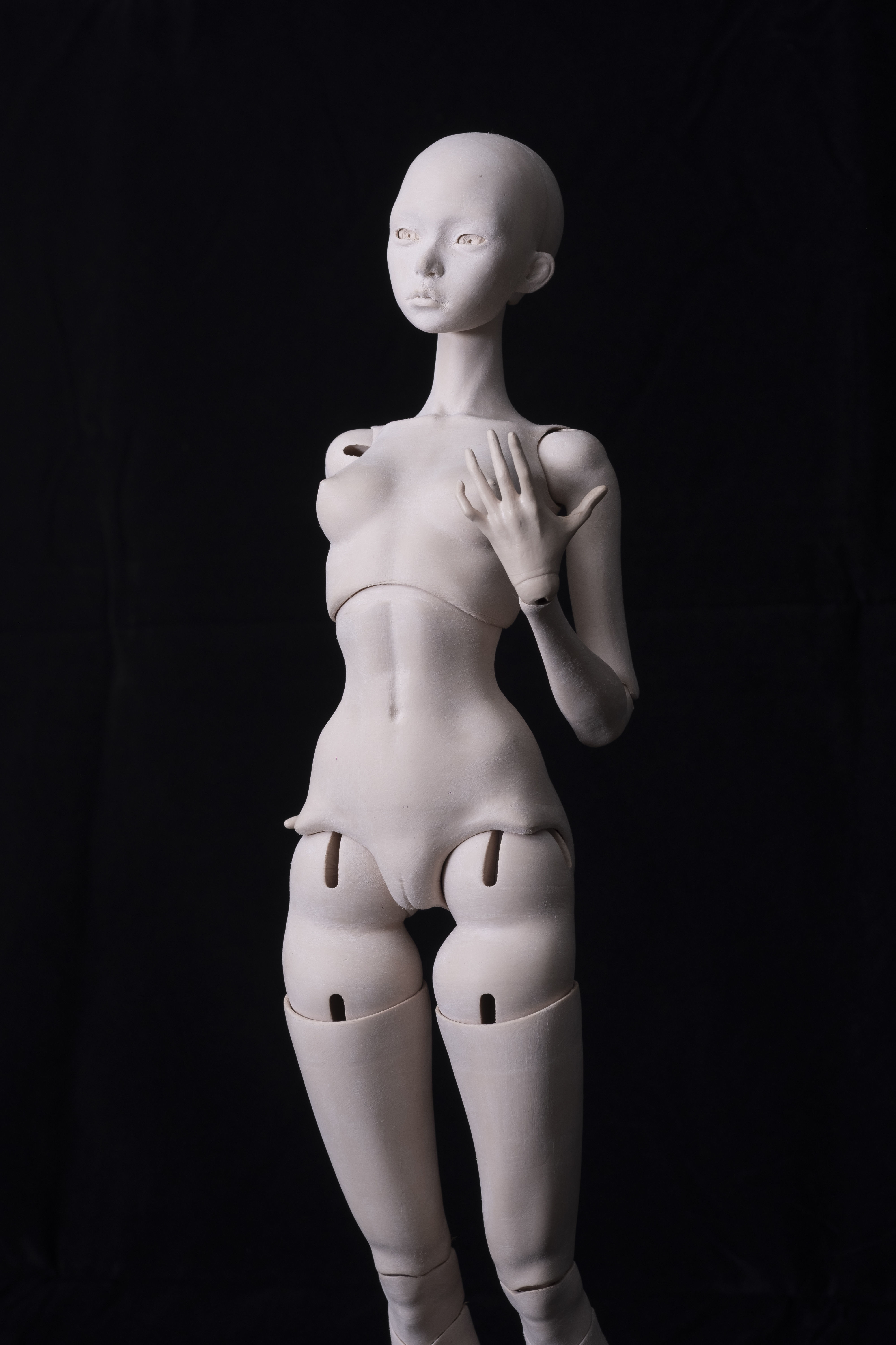 Arise BJD Ball Jointed Doll 3D Printed Model Doll 3D print model_12