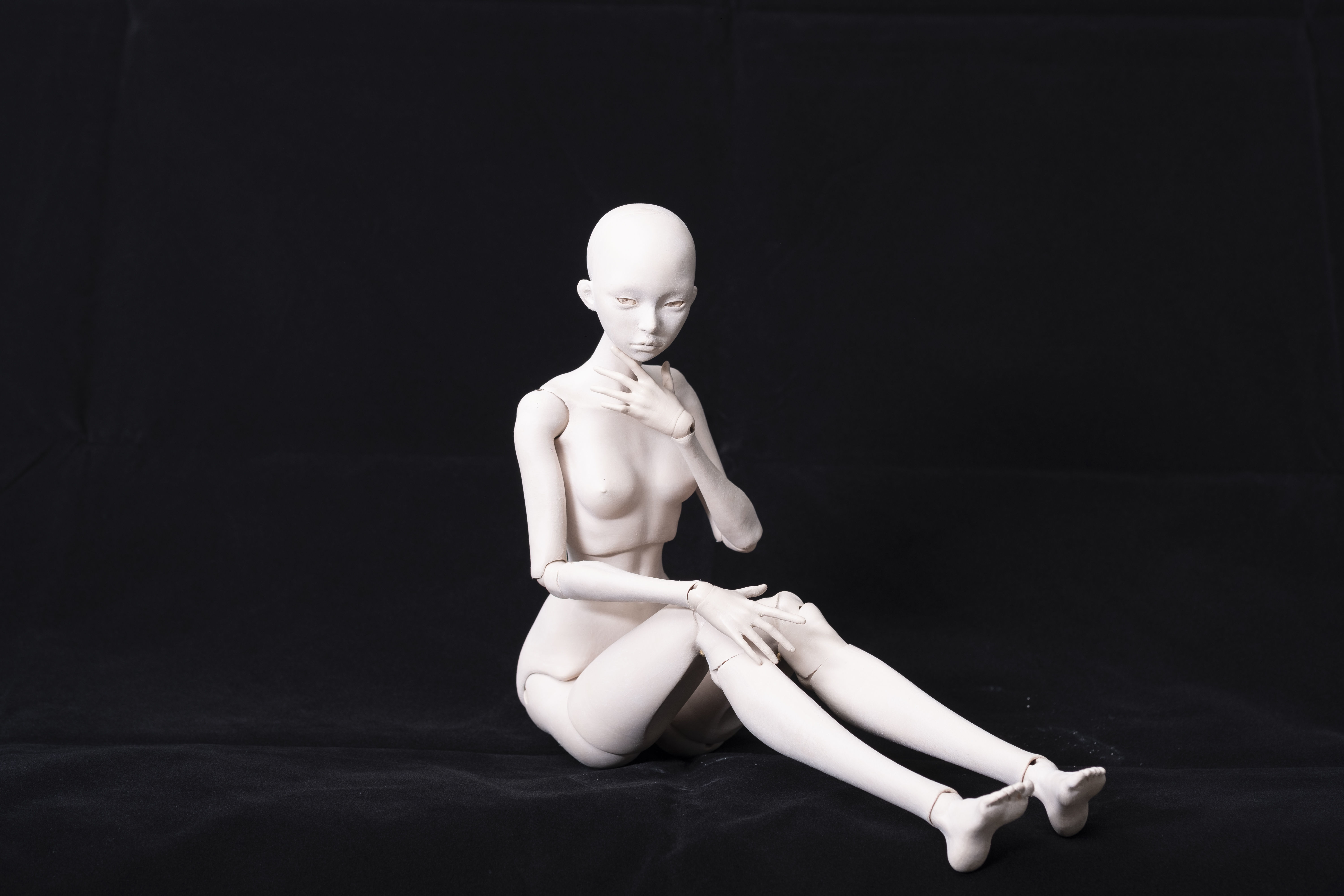 Arise BJD Ball Jointed Doll 3D Printed Model Doll 3D print model_10