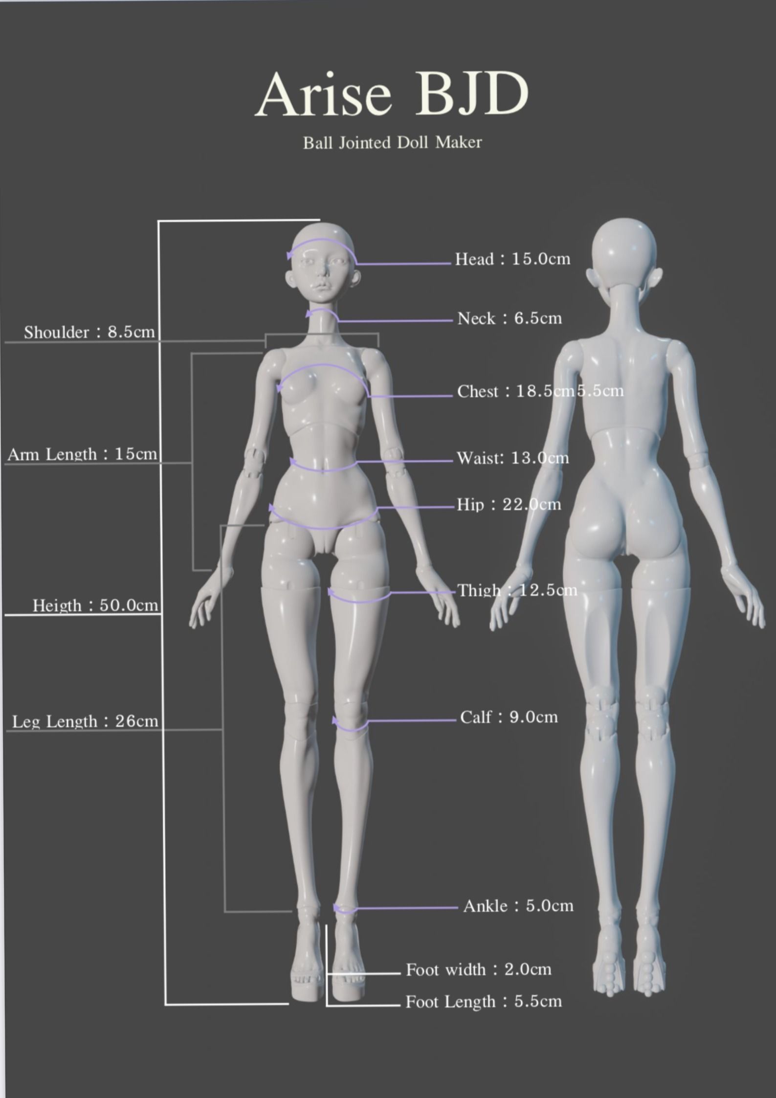 Arise BJD Ball Jointed Doll 3D Printed Model Doll 3D print model_3