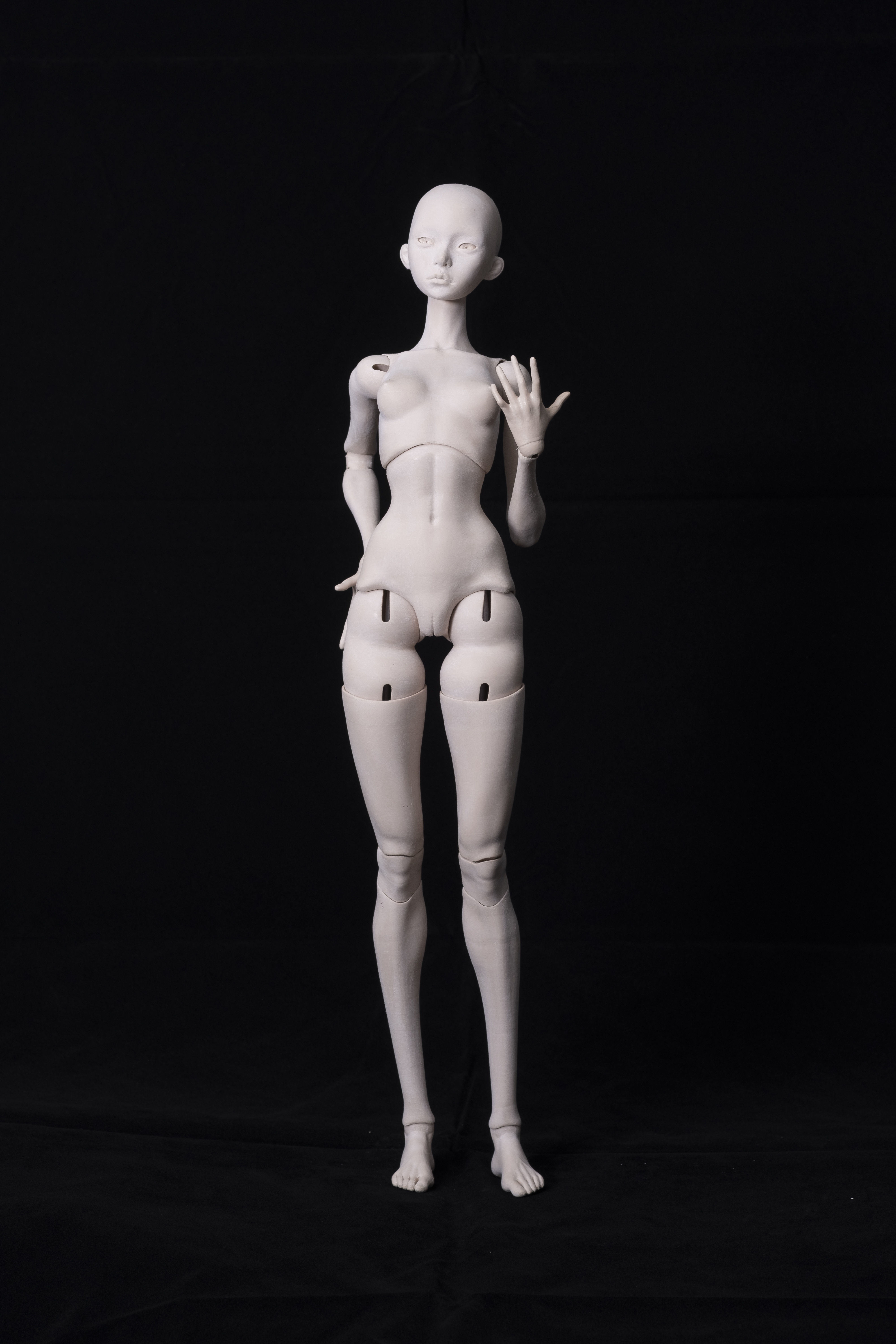 Arise BJD Ball Jointed Doll 3D Printed Model Doll 3D print model_13