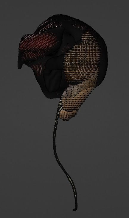 3D Model of Abdominal Organs 3D model_14