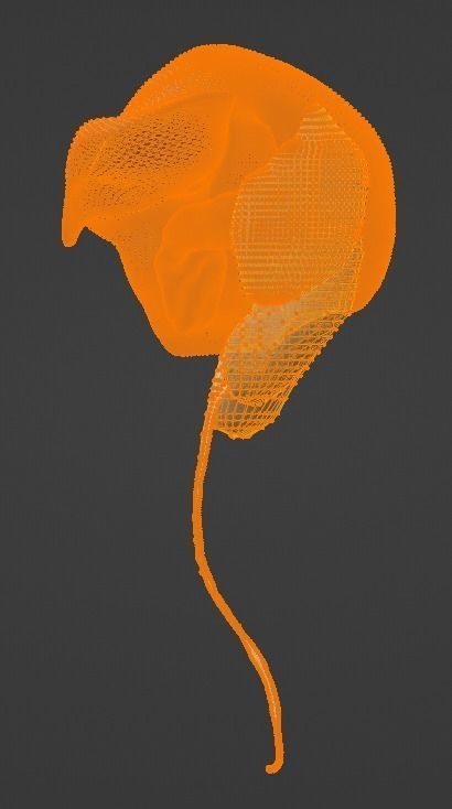 3D Model of Abdominal Organs 3D model_8