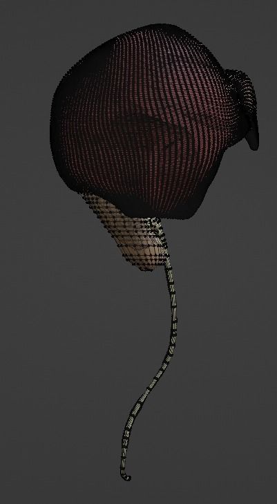 3D Model of Abdominal Organs 3D model_13