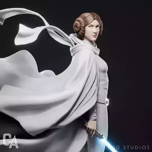 Leia 3D Print 3D print model
